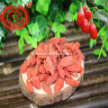 Ningxia zhongning dried goji berries with low price